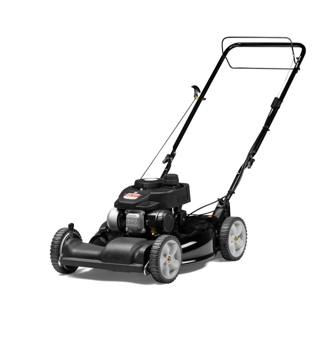 The Best Self-Propelled Lawn Mowers of 2020 — ReviewThis