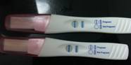 How Do I Use A Pregnancy Test Tube At Willa Abell Blog