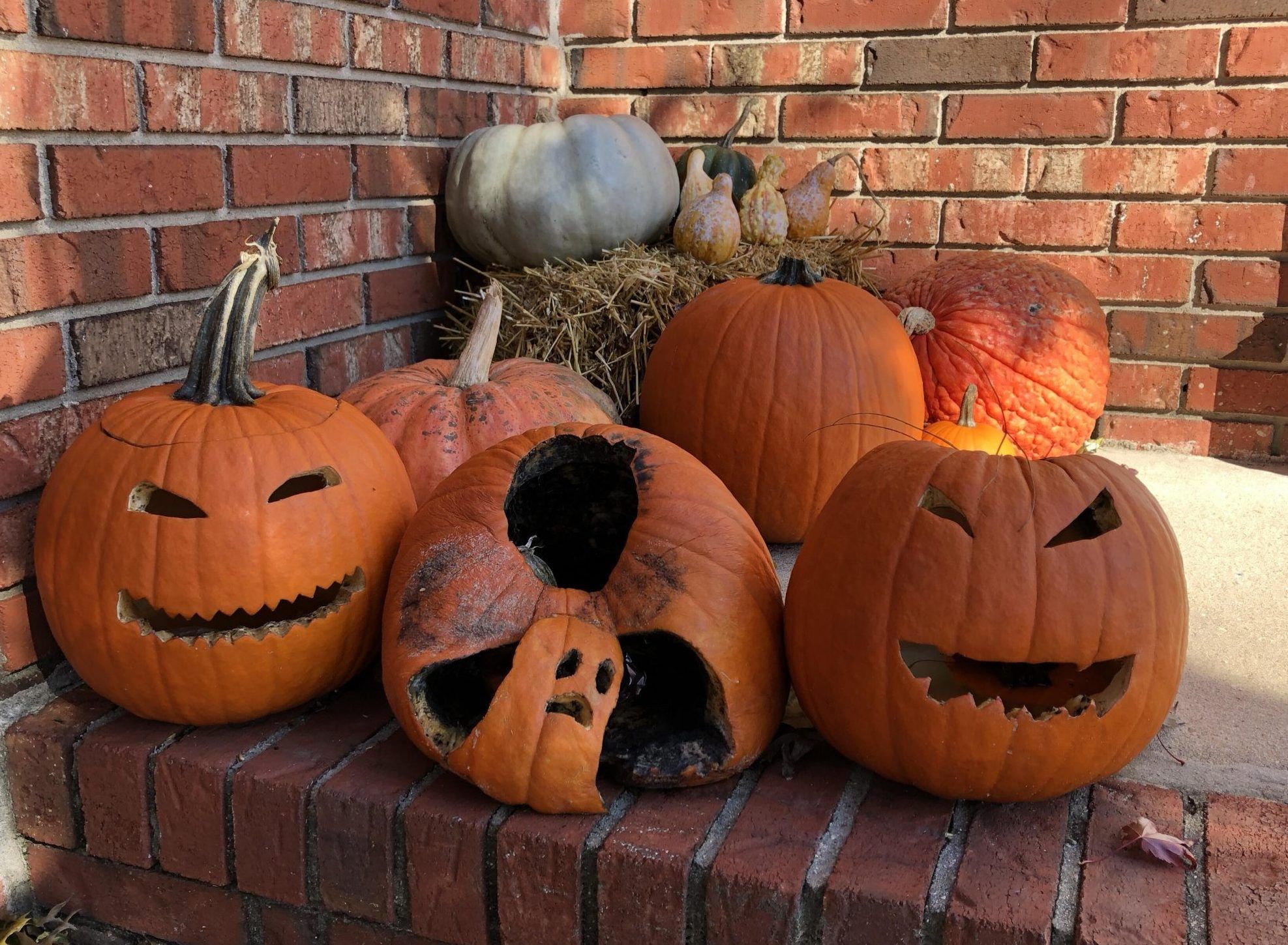 Keep Your Old Pumpkin From Hurting the Environment | ReviewThis